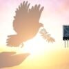 51OZ0U2IvjL._AC_SL1500_ Detailed Review of RYLR998 Lora Module with Antenna for Superior Connectivity