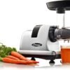 71XMSLOeu0L._AC_SL1500_ Omega J8007S Cold Press Juicer Review The Best Masticating Juicer for Fruits and Vegetables