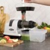 81JD3W8nCQL._AC_SL1500_ Omega J8007S Cold Press Juicer Review The Best Masticating Juicer for Fruits and Vegetables