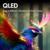 81i6-p9qPTL._AC_SL1500_ Hisense 55U8N Mini-LED QLED TV review with Dolby Vision IQ and 144Hz gaming
